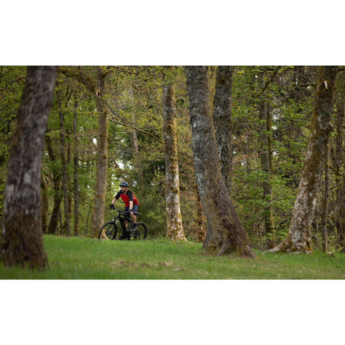 Image du produit 22