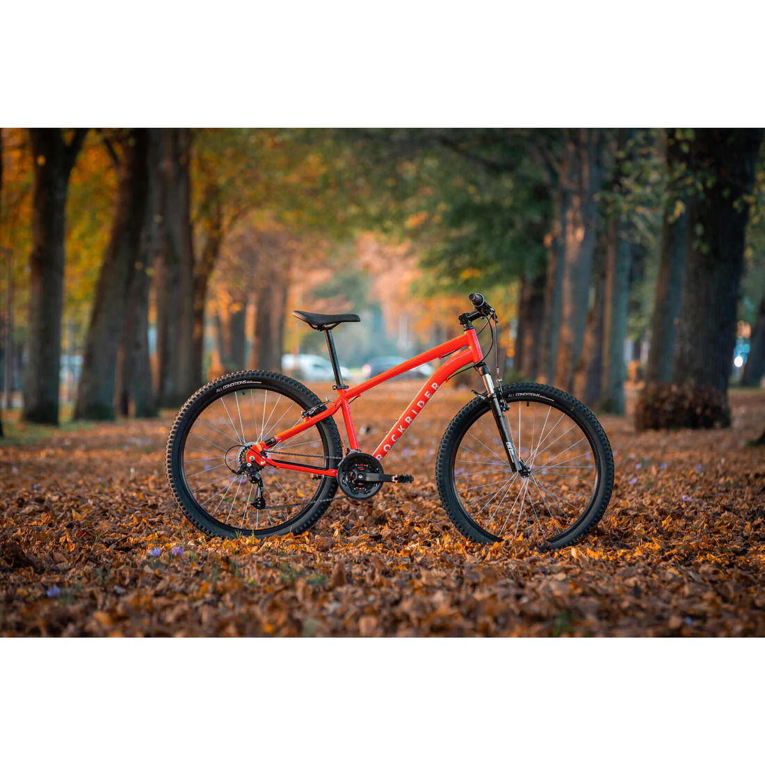 Image du produit 25